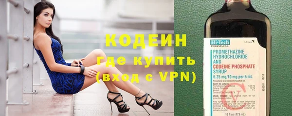 шишки Каменногорск