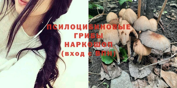 мдпв Иннополис