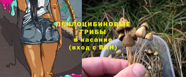 ALPHA PVP Инсар