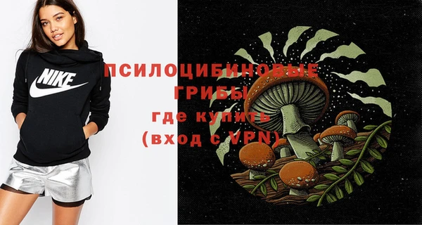 мдпв Иннополис