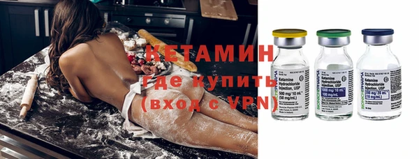 шишки Каменногорск
