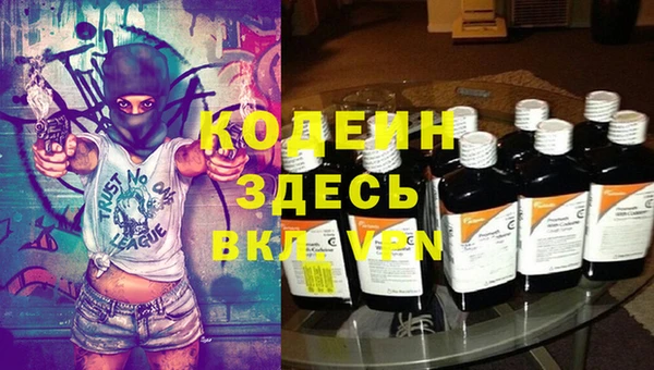 шишки Каменногорск