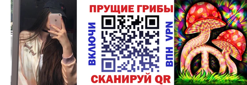 Псилоцибиновые грибы Cubensis  Карабаново 