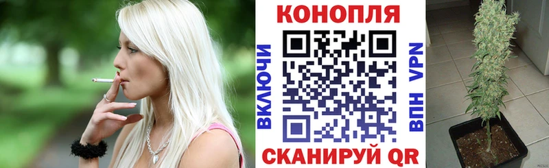 Бошки марихуана AK-47  Карабаново 